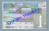 Dream Holiday