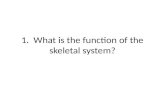 1.  What is the function of the skeletal system?
