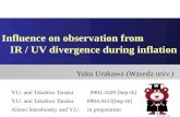 Influence on observation from    IR / UV divergence during inflation