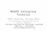 MIAPE Extractor Tutorial