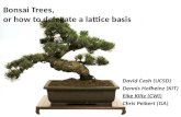 Bonsai Trees, or how to delegate a lattice basis