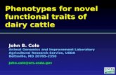 Phenotypes for  novel functional  traits of dairy cattle