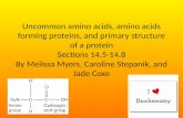 Section 14.5 Uncommon amino  a cids