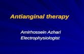 Antianginal  therapy Amirhossein Azhari Electrophysiologist