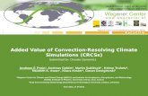 Added Value  of  Convection-Resolving Climate Simulations (CRCSs)