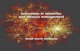 Innovation in  networks and alliance  management Small  world networks