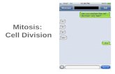 Mitosis:  Cell Division