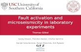 Fault activation and  microseismicity  in laboratory experiments