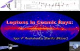 Leptons in Cosmic Rays: