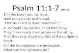 Psalm 11:1- 7 (NKJV)