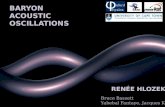 Baryon Acoustic Oscillations