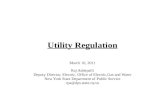 Utility Regulation