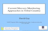Current Mercury Monitoring Approaches in Tribal Country