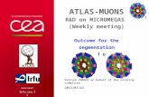ATLAS-Muons R&D  on  Micromegas  ( Weekly meeting) Outcome for the segmentation in 2-fold option