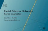 Radial  Category  Networks:  Some Examples
