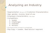 Analyzing an Industry