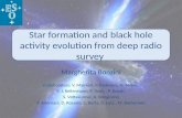 Star formation and black hole activity evolution from deep radio survey