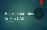 Hajar  mountains In The UAE