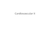 Cardiovascular II