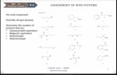 Assignment of Spin Systems