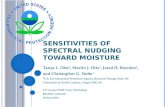 Sensitivities of Spectral Nudging Toward Moisture