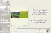Global  Strategy to Improve Agricultural and Rural Statistics