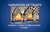 VARIATION OF TRAITS