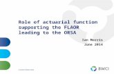 Role of actuarial function supporting the FLAOR  leading to the ORSA