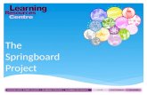 The  Springboard Project