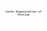 Cache Organization of Pentium