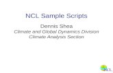 NCL Sample Scripts Dennis Shea Climate and Global Dynamics Division Climate Analysis Section