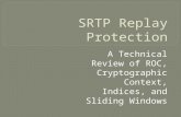 SRTP Replay Protection