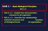 Unit 1 –  Basic Biological Principles                  (BIO.A.1)