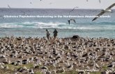 Albatross Population Monitoring in the Northwestern Hawaiian Islands