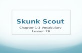 Skunk Scout