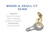 Brain & Skull CT  Scan