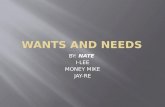 WANTS AND NEEDS