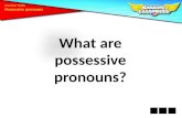 What are  p ossessive pronouns?