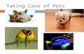 Taking Care of Pets