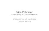 Erica  Pehrsson Laboratory of  Gautam Dantas