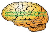 Specialization of Cerebral Hemisphere and Plasticity