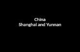 China Shanghai and Yunnan
