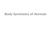 Body Symmetry of Animals