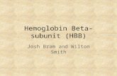 Hemoglobin Beta-subunit (HBB)