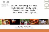 Joint  meeting  of the  Subsidiary Body and  Consultative Body  for  the  2013 cycle