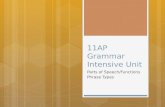 11AP  Grammar Intensive Unit