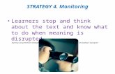 STRATEGY 4. Monitoring