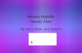 Homo Habilis “Handy Man”