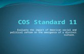 COS Standard 11