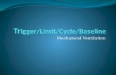 Tr igger/Limit/Cycle/Baseline